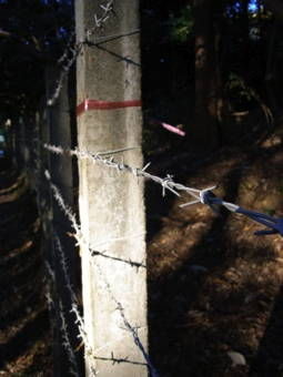 11-26赤山禅院４