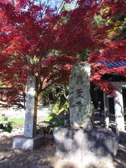 11-25宇治散策４