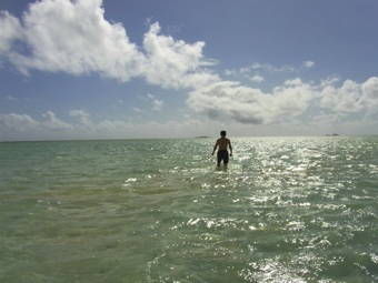 ハワイサンドバー