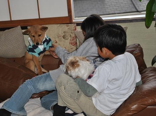 14えびすお届け5