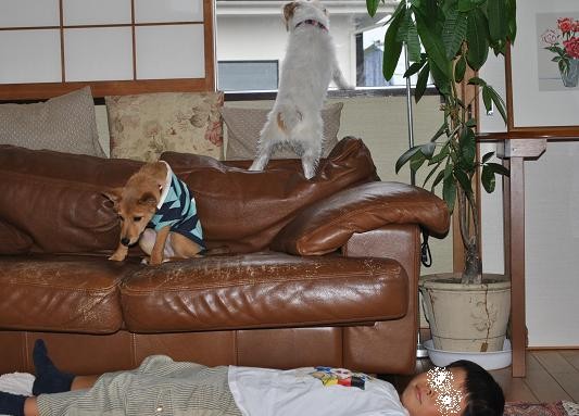 14えびすお届け10-2