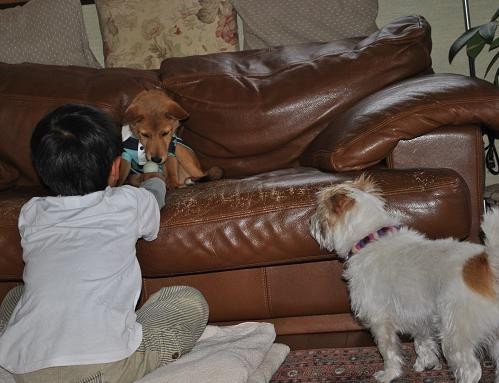 14えびすお届け9