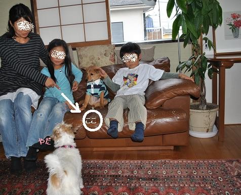 14えびすお届け13-2