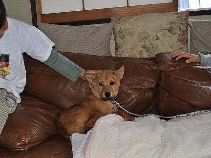 14えびすお届け1