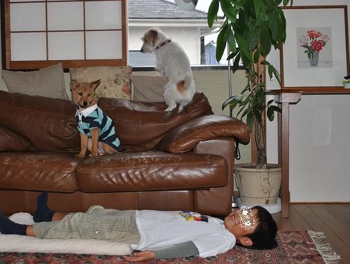 14えびすお届け11-2