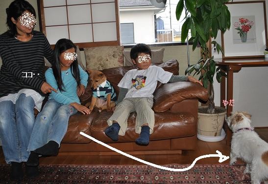 14えびすお届け12