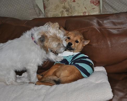 14えびすお届け6