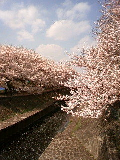 090406_140100.jpg