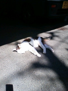 090407_130929.jpg