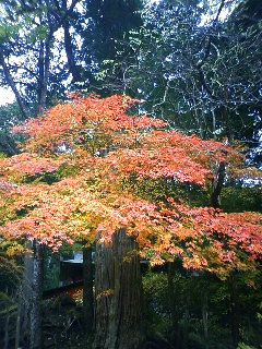 081109_143308.jpg