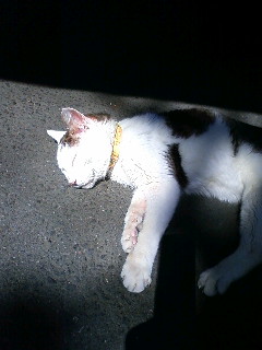 090407_130948.jpg