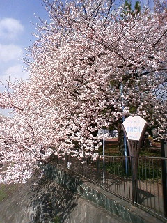 090406_140114.jpg