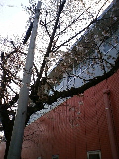090324_120042.jpg
