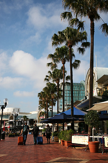 img_6901.jpg