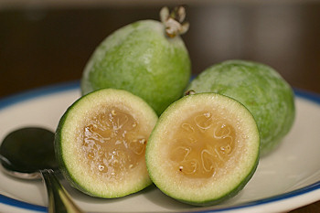 005feijoa.jpg