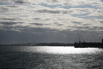img_8875.jpg