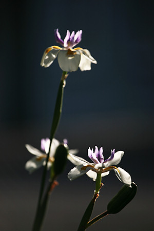img_5538.jpg