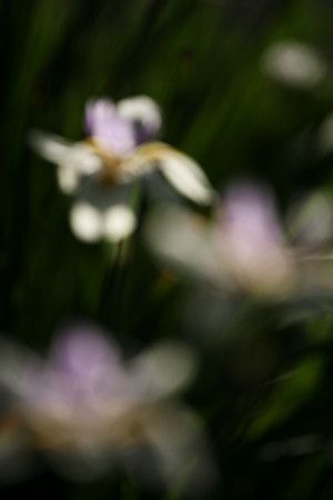 img_5558.jpg