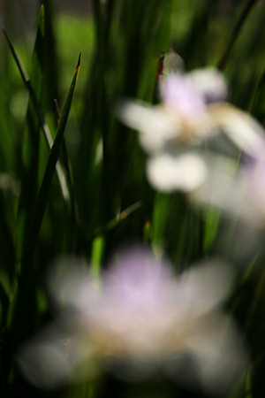 img_5560.jpg