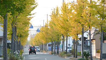 p1010380a.jpg