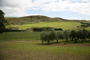 img_8719.jpg
