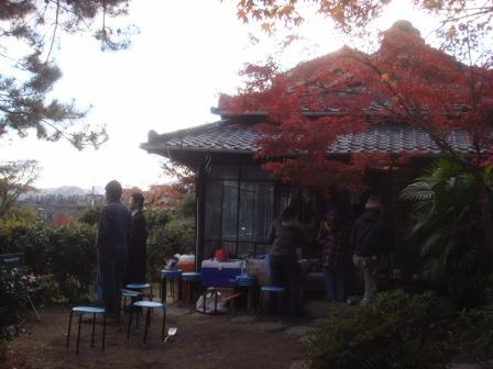 紅葉の児玉茶園。