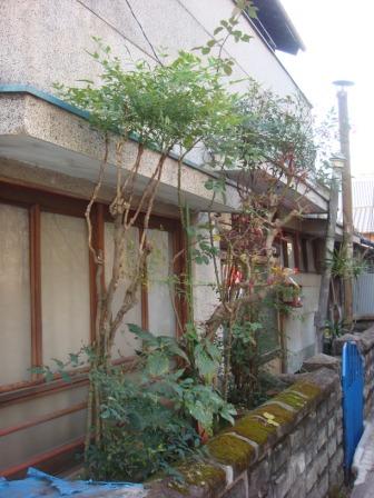 趣はある家。