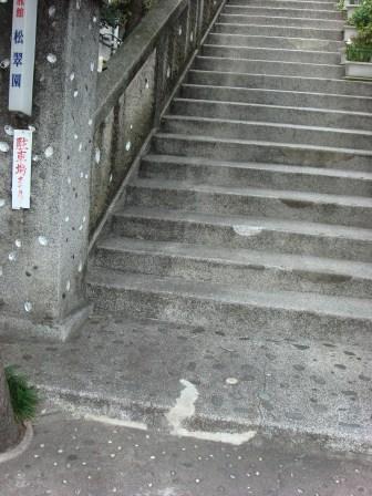 石や貝、いっぱい詰まっております。