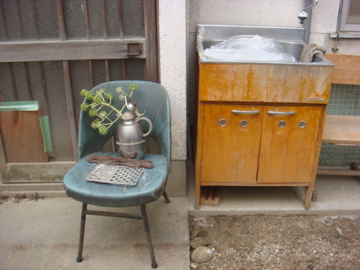 中庭、やっときれいになりました。