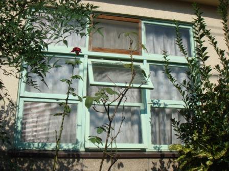 この窓に一目惚れ。