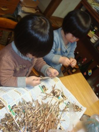 つくしと格闘しております～
