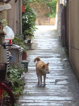 これからの尾道。