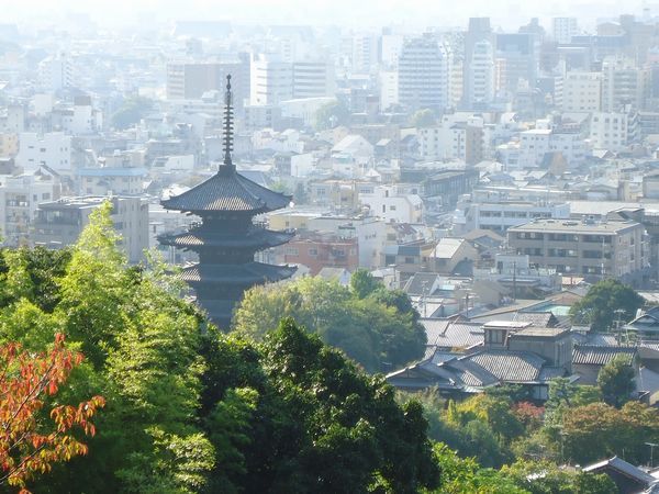 しげ爺さんの京都つれづれ 龍馬の墓から望む 八坂の塔 しげ爺さんの京都つれづれ 龍馬の墓から望む 八坂の塔