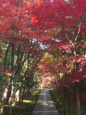 鹿王院