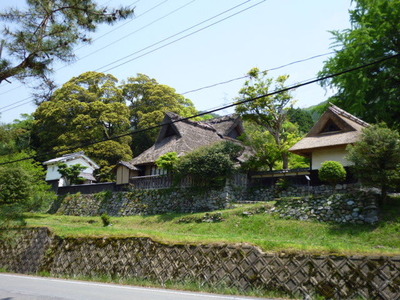 P1000524