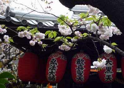 雨宝院