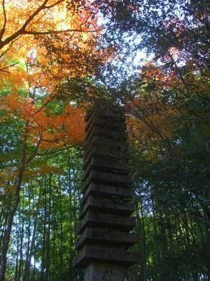 滝口寺