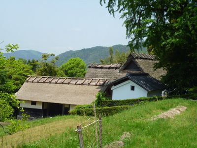 P1000525