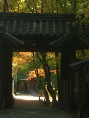 地蔵院