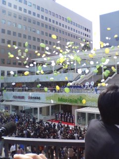 img20080313_1.jpg