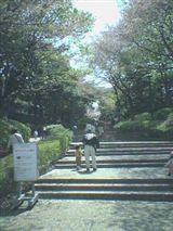 chba_zoo01_R.jpg