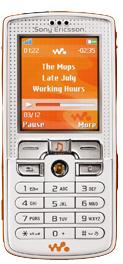 w800_1.jpg