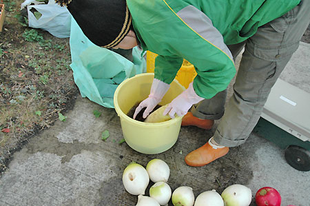 daikon1.jpg