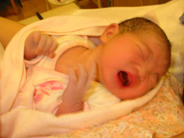 img20060822.jpg