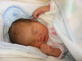 img20060827.jpg