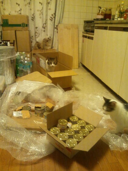 のん&ぽけ猫缶&