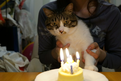 のん太郎誕生日4th