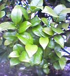 05-07-27_06-08.jpg