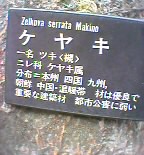 05-08-27_07-40.jpg