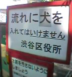 06-09-16_08-56.jpg